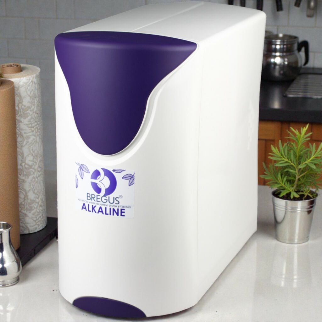 Bregus Alkaline Redox