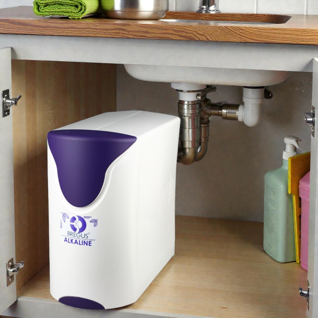 Bregus Alkaline-Redox