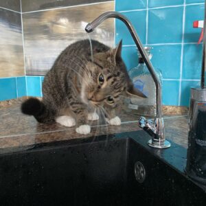 photo 2025 12 22 21 24 41